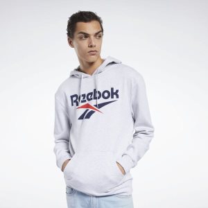 Bluza Z Kapturem Męskie Reebok Classic Vector Głęboka Szare PL 83AIXFQ